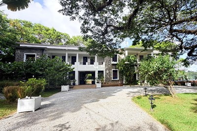 Apolline Martinique