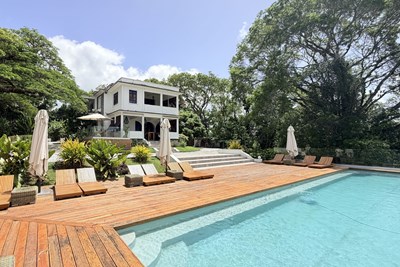 Apolline Martinique