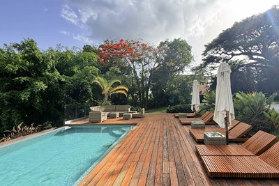 Apolline Martinique