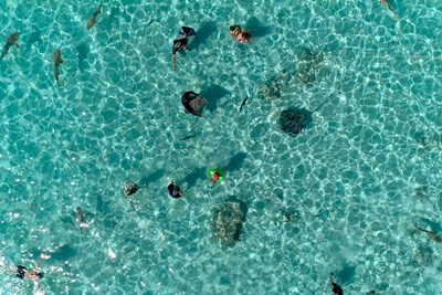 Un lagon turquoise id�al pour explorer les fonds marins