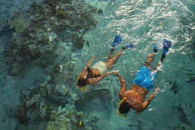 Une faune marine exceptionnelle � d�couvrir