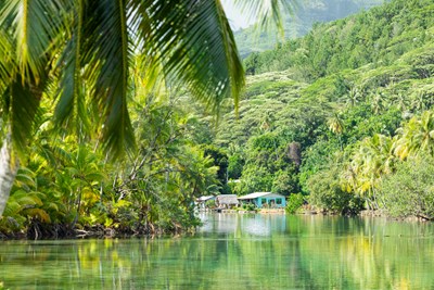 Huahine, entre villages traditionnels et paysages verdoyants