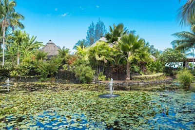 Les jardins de Paofai, entre nature et oc�an