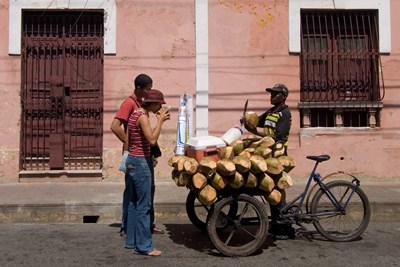 Combiné Saint-Domingue/ Samana - Duo de Charme