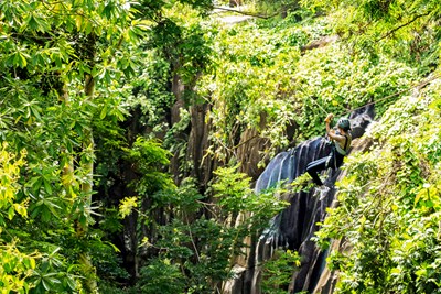 Profitez d'une descente en tyrolienne