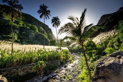 Les paysages spectaculaires de Santo Ant�o