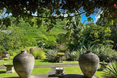 photo domaine de la palmeraie martinique
