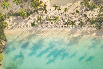 Cocotiers, sable fin et lagon cristallin � perte de vue
