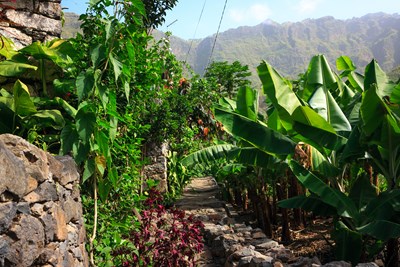 Montagnes volcaniques de Santo Ant�o