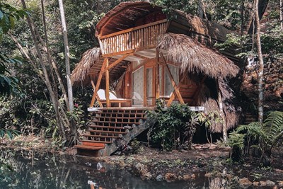 Une architecture inspir�e par la nature environnante