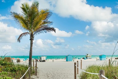Hyatt Centric South Beach