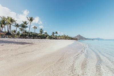La magnifique plage de l'h�tel