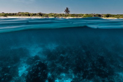 Les fonds marins exceptionnels de l'�le Catalina