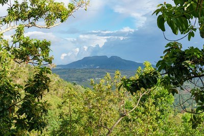 Au sommet de l'Isabel de Torres