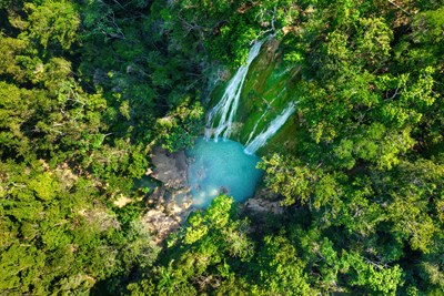 La cascade El Lim�n au c�ur de la v�g�tation