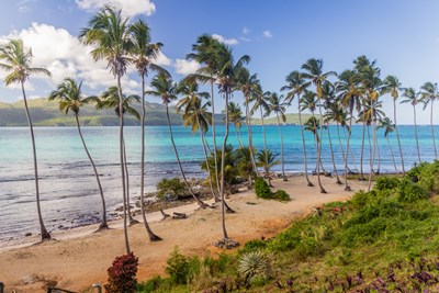 Authenticit� et douceur tropicale � Las Galeras