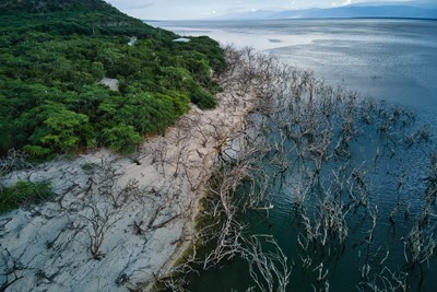Le lac Enriquillo, une r�serve naturelle
