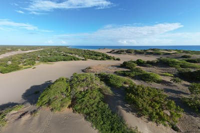 Les paysages d�sertiques des dunes de Ban�