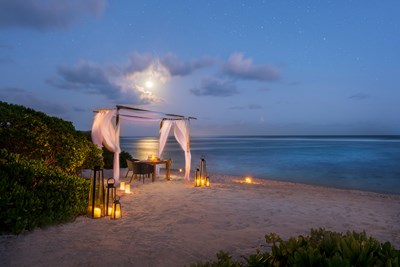 Savourez un d�ner sous les �toiles
