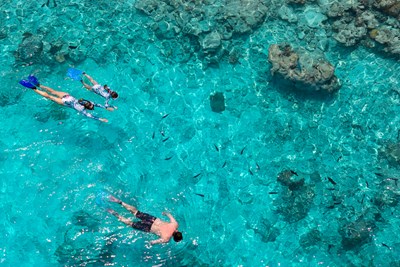 Explorez les r�cifs en snorkeling