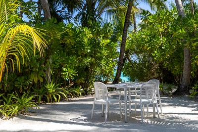 Saveurs m�diterran�ennes sous les palmiers au Palm