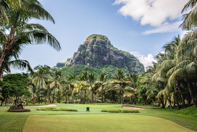 D�paysement total dans une nature luxuriante
