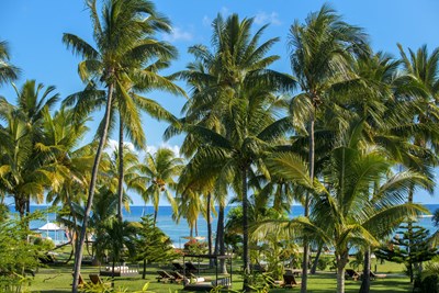 Des all�es tropicales