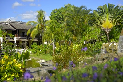 Un jardin japonais propice � la s�r�nit�