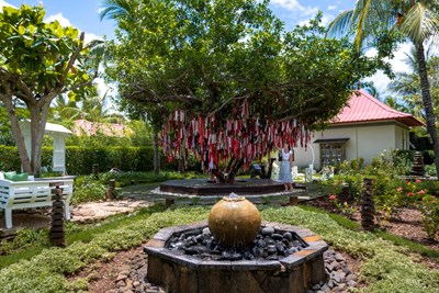 L�arbre � souhaits, un symbole de magie et de r�ve