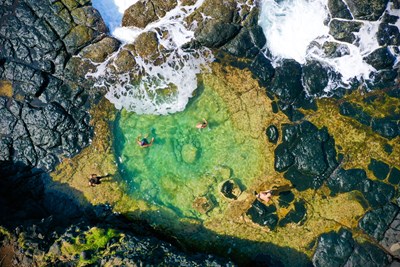 Partez explorer les paysages sauvages du Sud