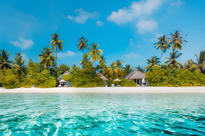 Tiamo Resort