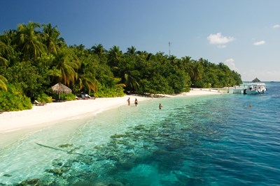 H�tel Vilamendhoo Island Resort &amp; Spa 4*, Maldives