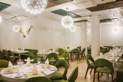 Le restaurant Melt