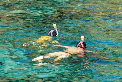 Snorkeling