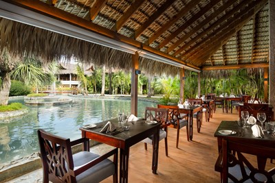 Exp�rience gastronomique raffin�e au restaurant Amaya