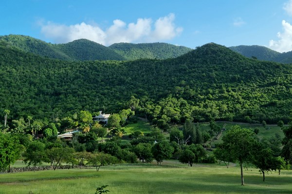 saint-martin