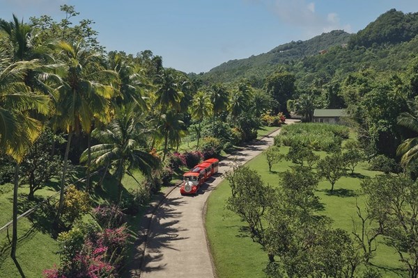 visite en petit train de la distillerie la mauny
