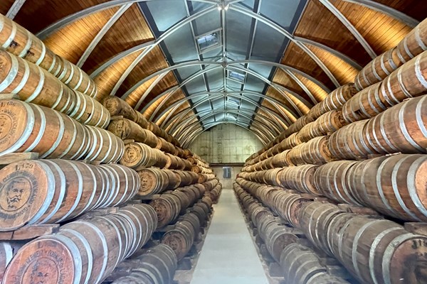 les tonneaux du rhum clément