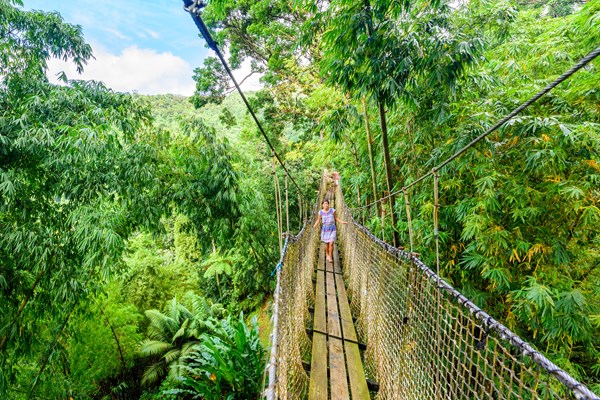 pont suspendu jardin de balata