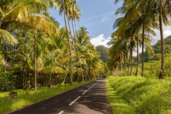 route de la trace