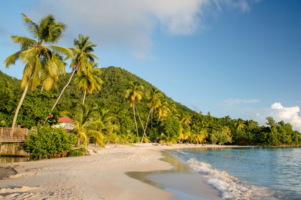anse figuier