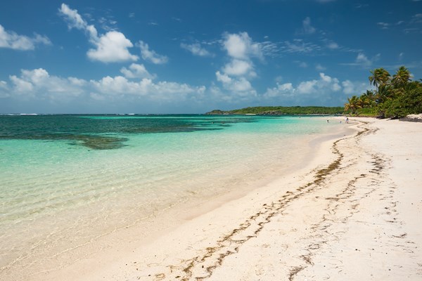 anse michel