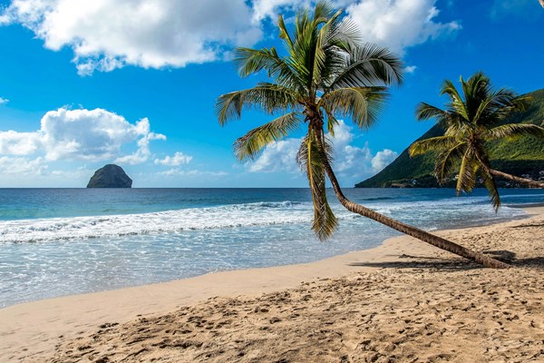 grande anse du diamant