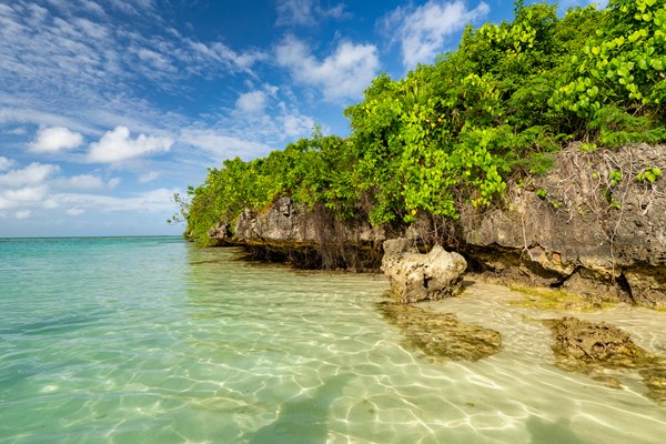 l'île aux aigrettes