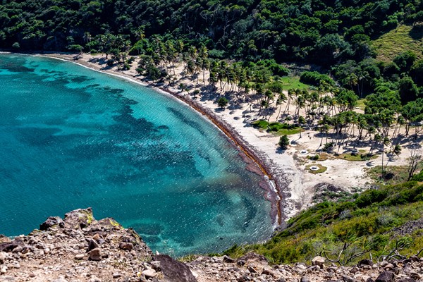 la plage nature de pompierre, � terre-de-haut aux saintes