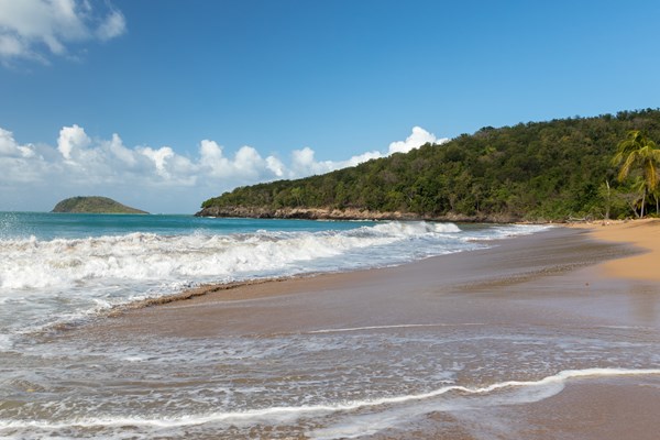 la plage de l'anse de la perle � deshaies