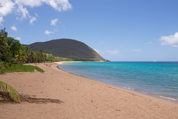 la plage de sable rose de grande anse, � deshaies