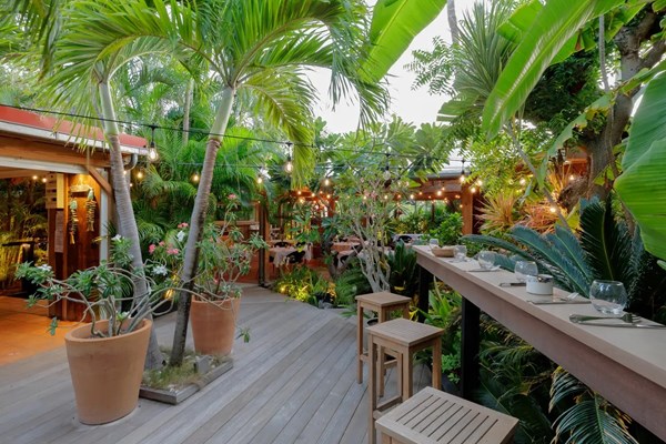 la terrasse de l'esprit