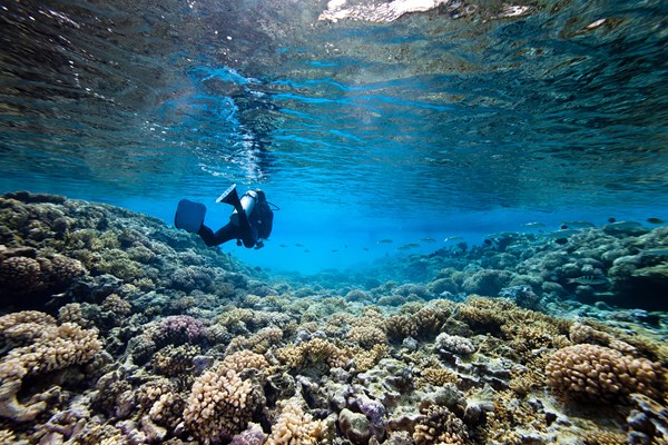 la grande caye