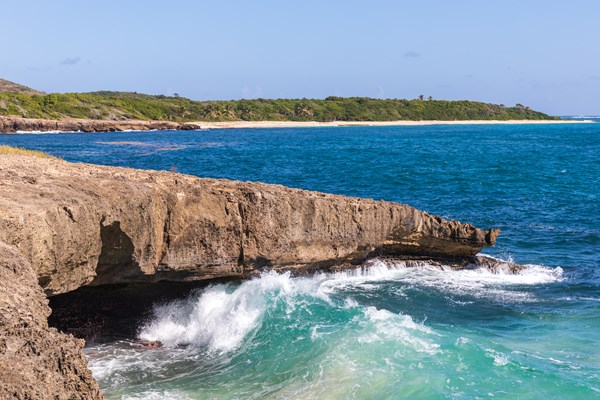 la pointe de la baleine